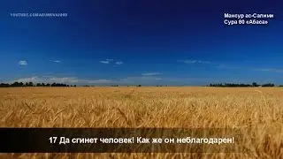 Мансур ас-Салими - Сура 80 &laquo;Абаса&raquo; (Нахмурился)