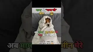 dogesh memes 🤣 #funnyshorts #funnymemes #memes #funny #viral