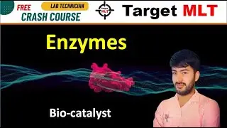 17. Enzymes - Biocatalyst  #biochemistry   #2024