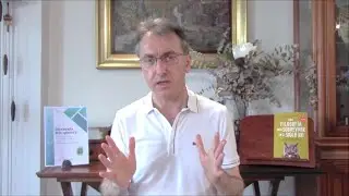 Las interpretaciones sobre el Quijote de los románticos alemanes son propias de un manicomio