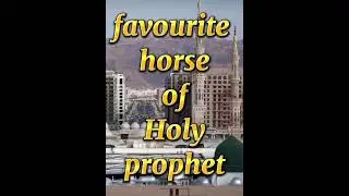 Favourite Food of Our Prophet #muhammadﷺ ##beloved #food #favourite #dates #islamicvideo #shortfeed