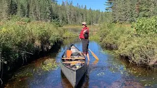 Algonquin park 2024