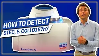 How to detect STEC, E.coli O157h7 and Salmonella
