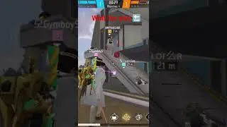 #flygaming