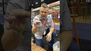 Quickest Deck Screw EVER?! #deck #toolsofthetrade #construction