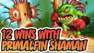 12 Wins With Primalfin Shaman
