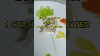 #healthyfood #mealinspo #recipeinspo #healthyrecipesshorts #healthyshorts