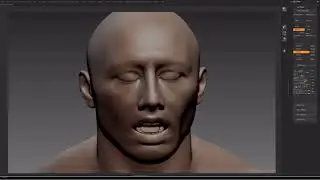 Human Zbuilder 3