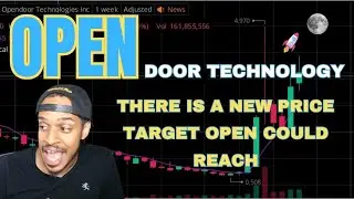 Opendoor Stock: NEW possible price target just released