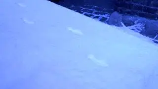INVISIBLE FOOTSTEPS In Harry Potter Warner Bros. Studio Tour!