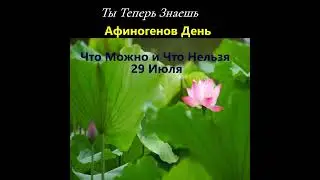 Что Можно и что Нельзя 29 Июля #shorstvideo