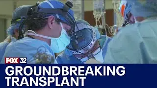 Northwestern Medicine doctors perform groundbreaking double-lung transplant