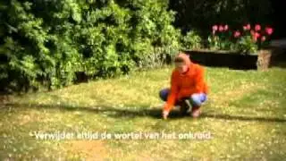 Floralux tuintip: 'Onkruid bestrijden'