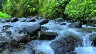 Tranquil Water & Natural Sounds for Deep Relaxation and Sleep Therapy