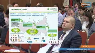 Digital Finance & E-services Russia 2014 (часть 1)