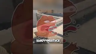 ТИПИЧНЫЙ АГЕНТ В ТИМЕ В КС 2