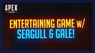 Entertaining Game with Seagull & Gale!