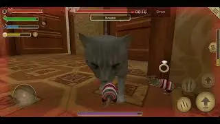 Untitled video