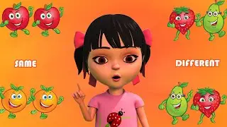 Same and Different for Kids | Learn Same and Different | Elearning | Learning Concept for Kids
