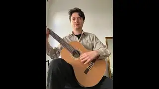 Private Guitar lessons