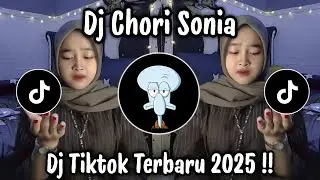 DJ CHORI CHORI SONIA - VELOCITY INDIA CHORI CHORI | DJ TIKTOK VIRAL 2025