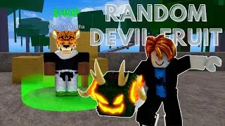 Noob Rolled RANDOM Devil Fruits Blox Fruits - Roblox
