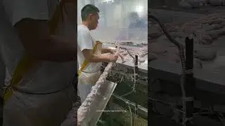 Use A Hollow Metal Tube To Rinse And Clean The Large Intestine Of Pigs Easily (One Minute One Piece)