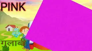 7COLOURS Name Learn by Children