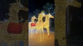 🌟🌴💚 Christmas in Hurghada 💚🌴🌟