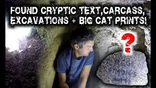 Found Cryptic Text, Carcass, Excavations & Big Cat Prints!