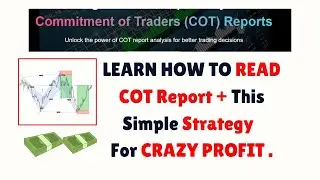 LEARN HOW TO READ COT Report + This Simple Strategy for CRAZY PROFIT