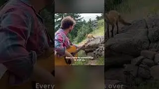 Wild Fox Visits This Man Everyday To Listen To His Music | The Dodo