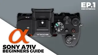 Mastering Your User Interface | Beginners Guide Ep.1