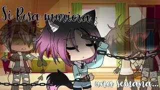 ✖SI Røsą Muri3ra Una Semana...?✖  ||Gacha Life|| 《Røsą》