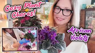 Cozy Plant Chores | Repotting African Violet | Bloom Tour | Plus A Seed Exchange!