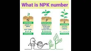 Shiviproducts | What is NPK 20 20 20 Fertilizer and how to use it
