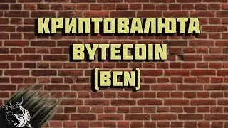 Криптовалюта Bytecoin - обзор.