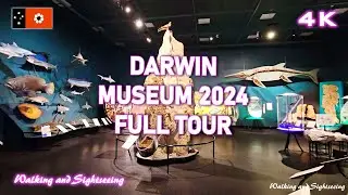 Darwin Museum & Art Gallery Northern Territory | Full Walking 2024 Tour | Cyclone Tracy Exhibition
