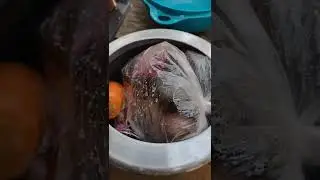 beterraba no saquinho
