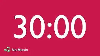 30 Minute Countdown Timer
