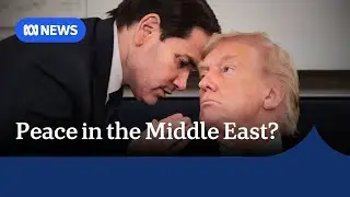 Israel and Hamas agree on first phase of US-led peace deal | ABC NEWS