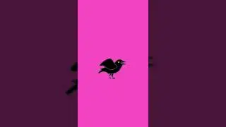 Beautiful crow sounds 🔥