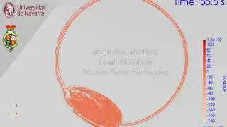 Caloric Test Fluid Dynamics Simulation: Rotation map