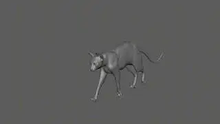 Cat Walk