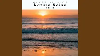 Dreams of Nature Vibes pt. 1 (feat. Sea Sounds Radio 1, Nature on Record & Deep Sleep Nature...