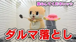 カメちゃんとダルマ落としで遊びましたっ☆ちぃたん☆ですっ☆