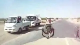 KILLER IRAQI SHEEP