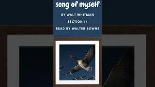 Scattering It Freely: Section 14 from Song of Myself (Whitman)