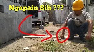 Ngapain sih mas ? | Lihat yuk Maintenance Kebersihan Site | Tower Vlog
