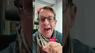 Yves Just Chatting - Should AI Be Watermarked? | Feedback Loops & the Future of Training Data
